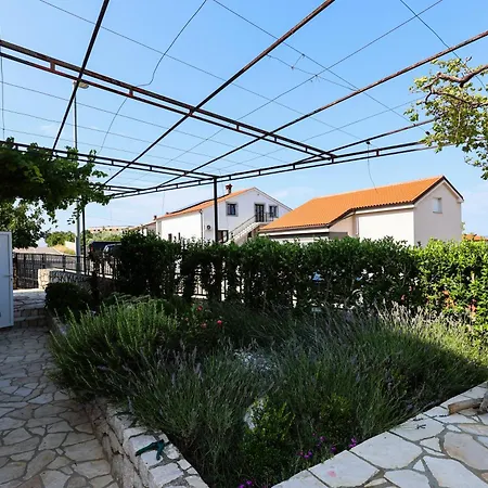 Sabira 노비비노돌스키