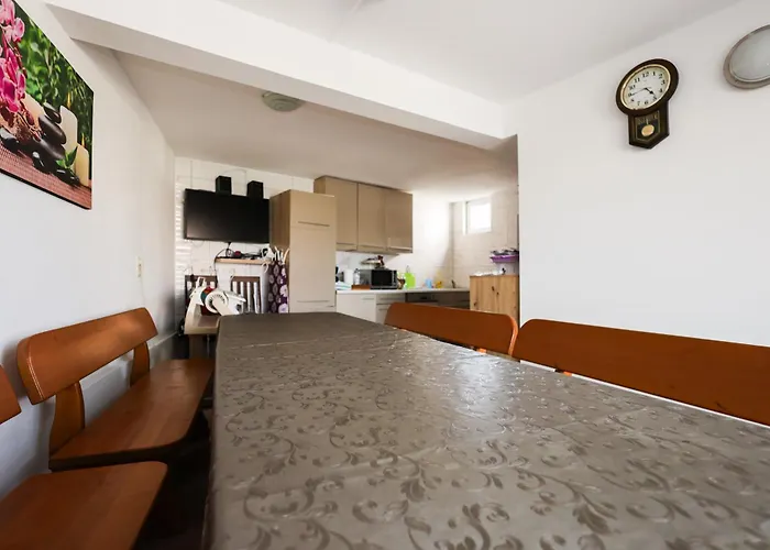 Sabira 노비비노돌스키