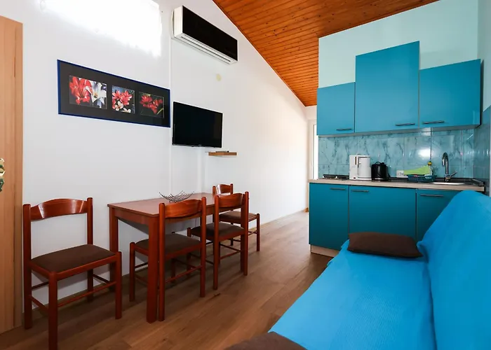 Sabira * 노비비노돌스키