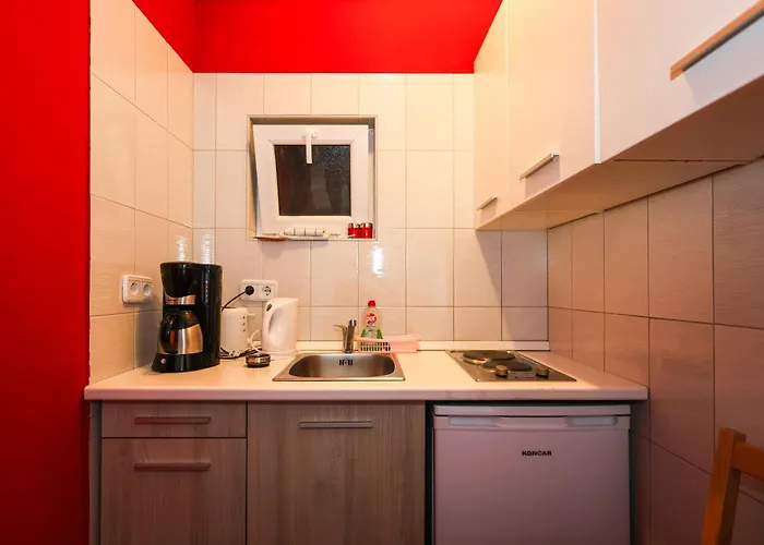 Sabira 노비비노돌스키