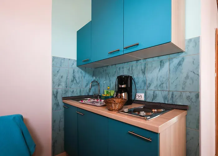 Sabira * 노비비노돌스키