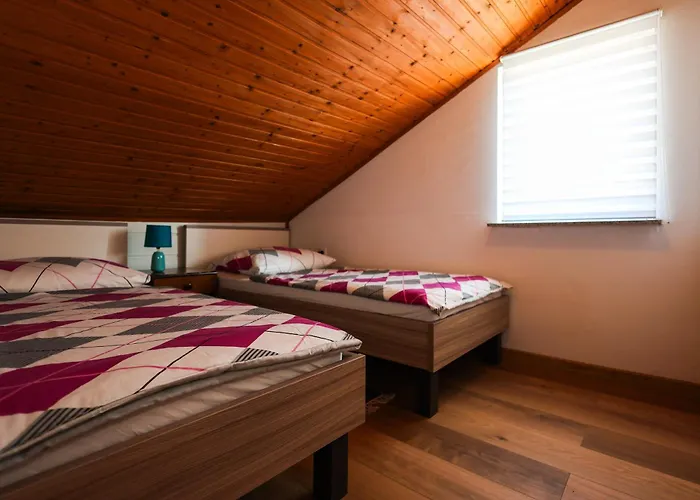 Sabira * 노비비노돌스키