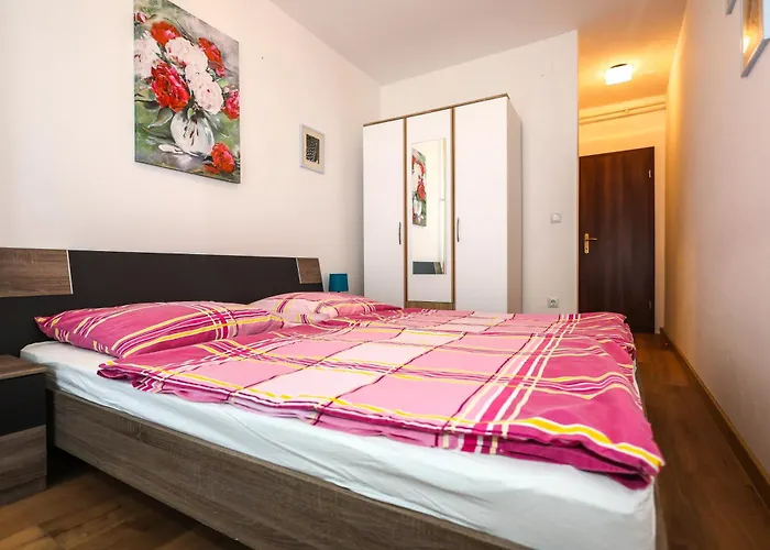 Sabira 노비비노돌스키