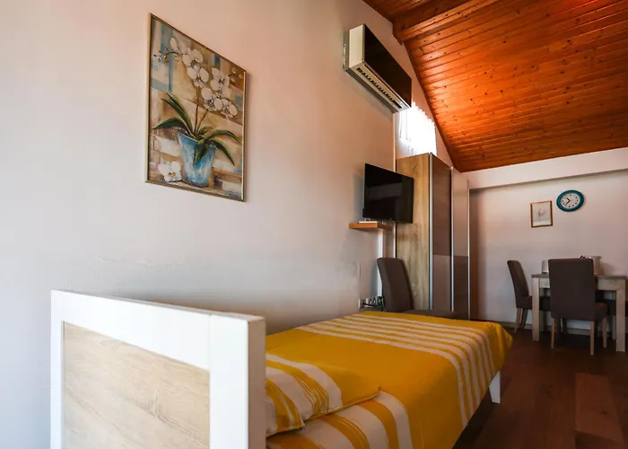 Sabira * 노비비노돌스키